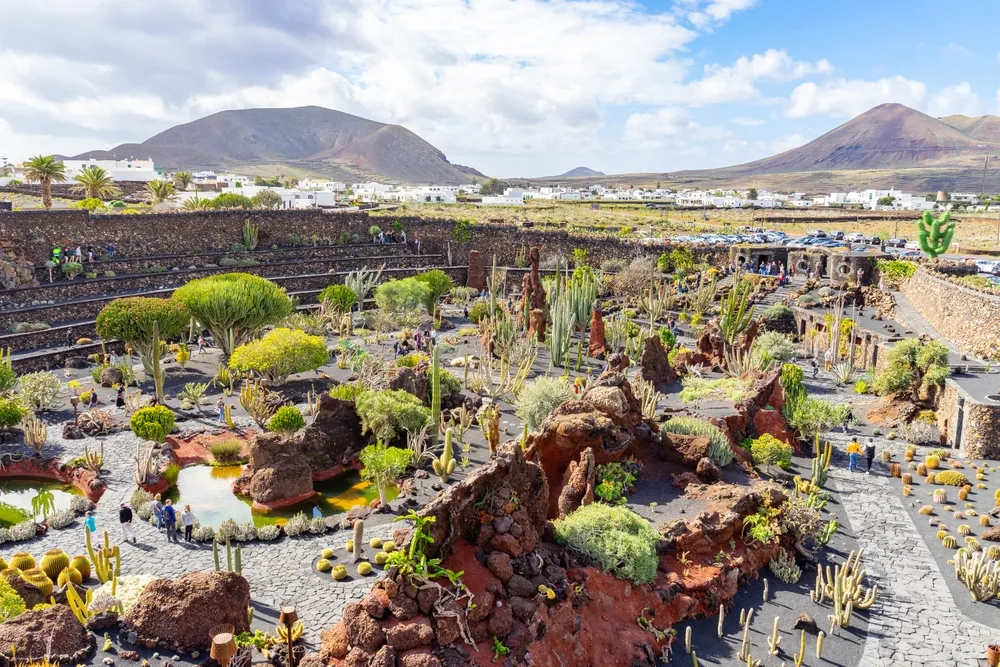 Jardín de Cactus, Lanzarote