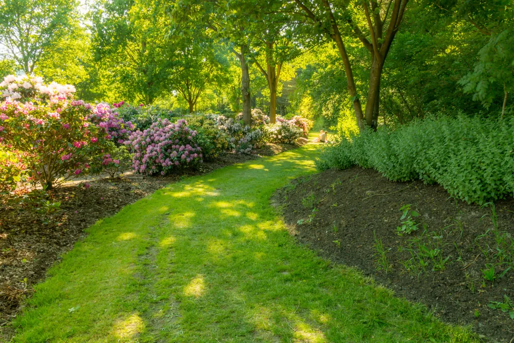 Rhododendronpark, Bremen