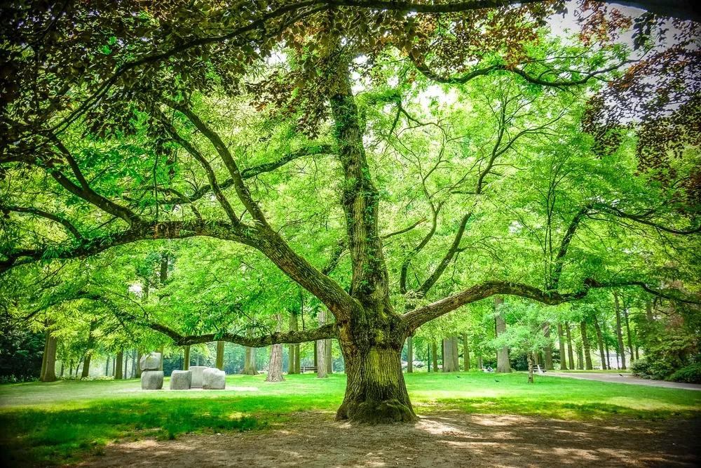 Stadswandelpark, Eindhoven