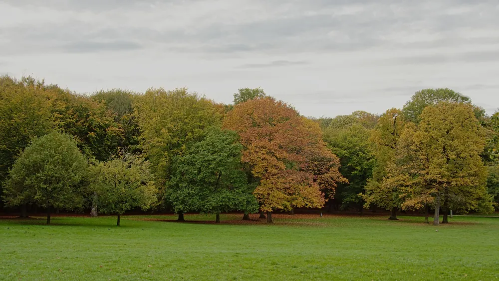 Ter Kamerenbos, Brussel