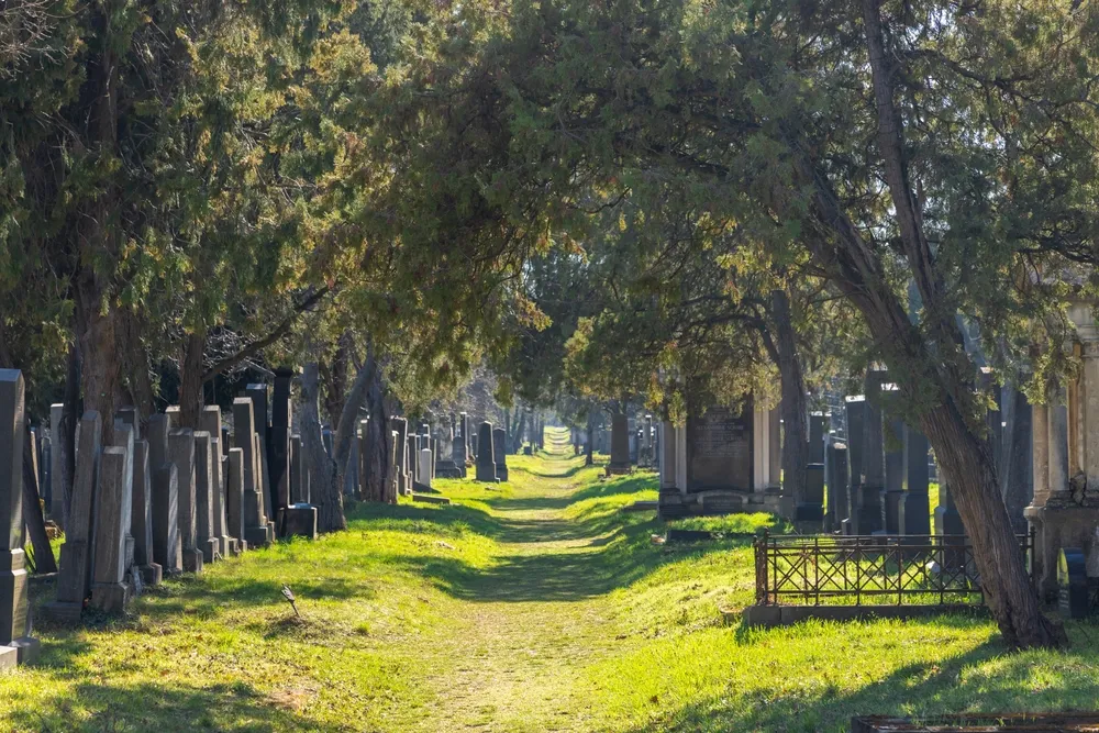 Zentralfriedhof, Wenen